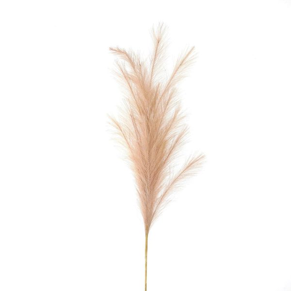 Large Faux Pampas Grass Stem | Bed Sava