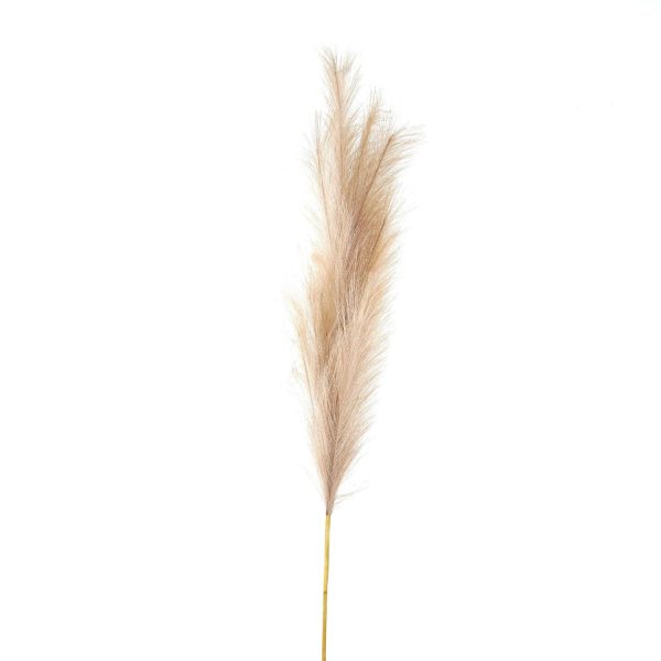 Bleached Large Faux Pampas Grass Stem | Bed Sava
