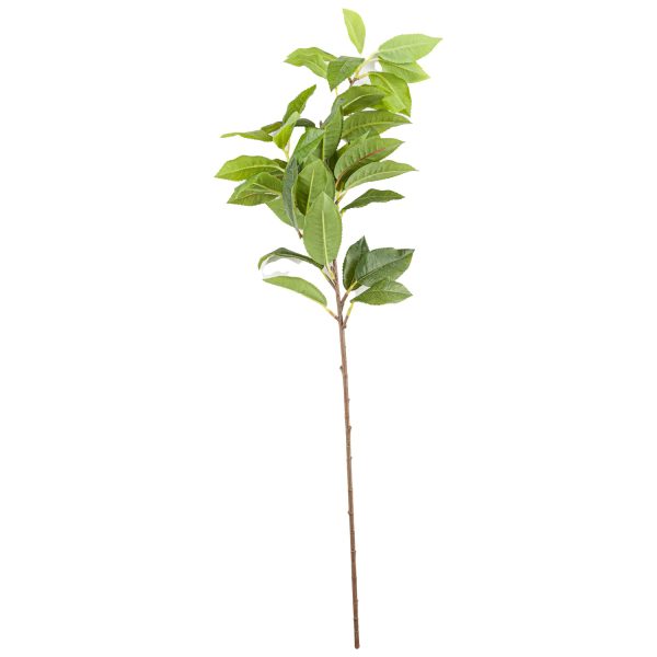 Laurel Leaf Spray | Bed Sava