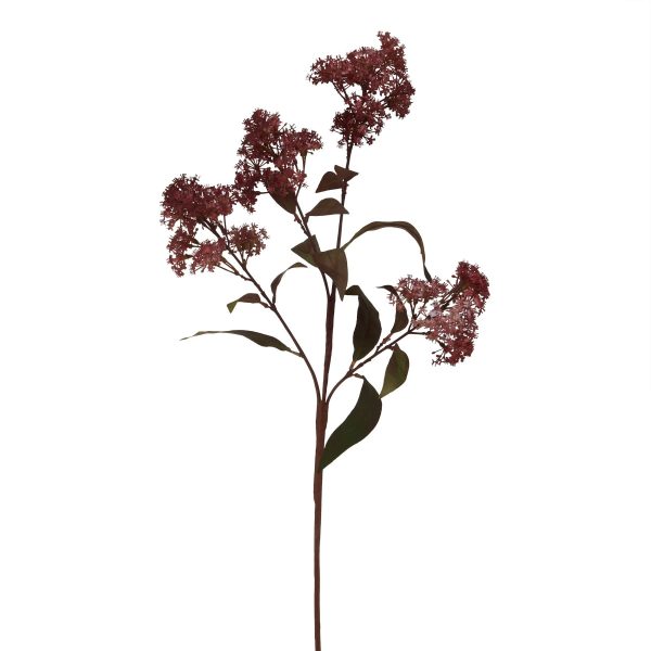 Medium Burgundy Smokebush Stem | Bed Sava