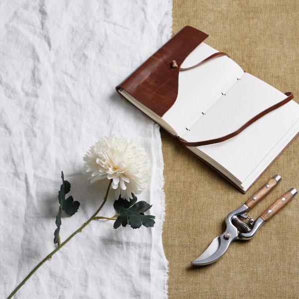White Chrysanthemum | Bed Sava