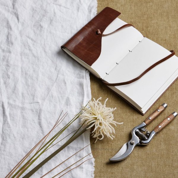 Cream Aster Spider Chrysanthemum Stem | Bed Sava