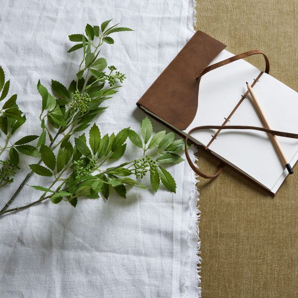 Long Fennel Stem | Bed Sava