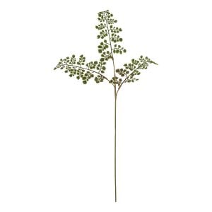The Natural Garden Collection Maidenhair Fern Stem | Bed Sava