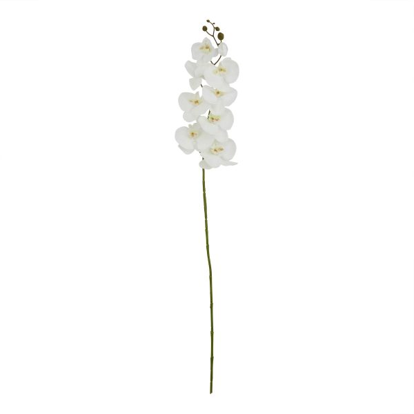 Tall White Butterfly Orchid Stem | Bed Sava