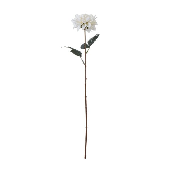 The Natural Garden Collection Tall White Dahlia | Bed Sava