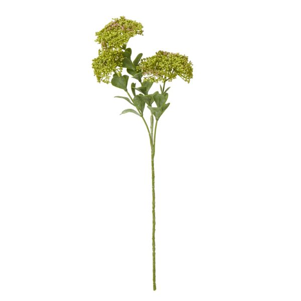 Green Sedum Spray | Bed Sava