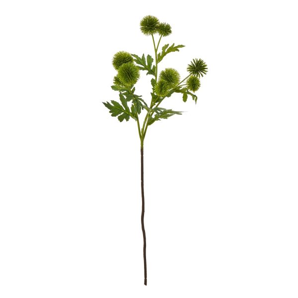 Green Globe Thistle Spray | Bed Sava