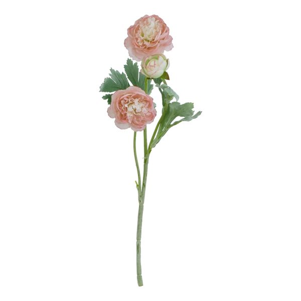 The Natural Garden Collection Pink Ranunculus | Bed Sava