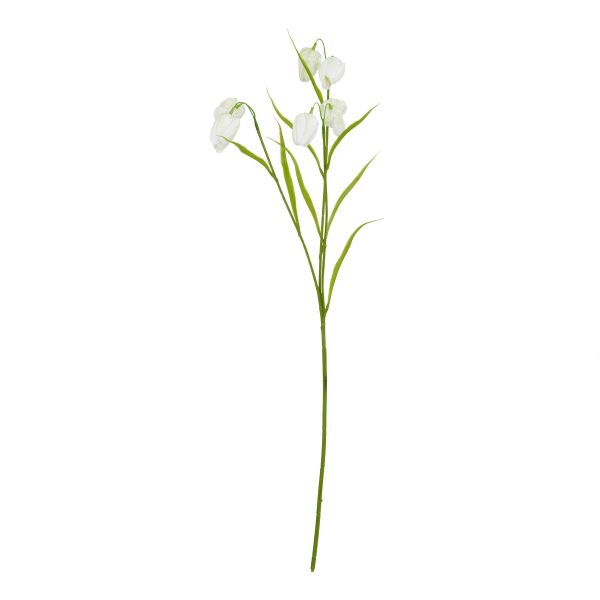 The Natural Garden Collection White Fritillaria Stem | Bed Sava