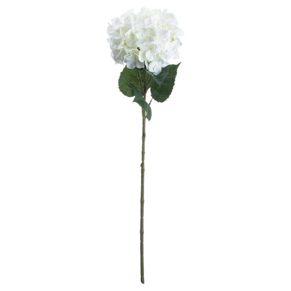 Single White Hydrangea | Bed Sava