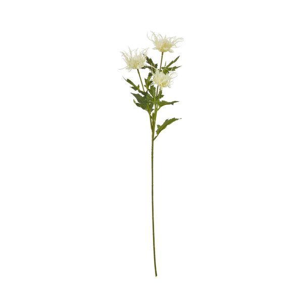 Cream Sea Holly Spray | Bed Sava