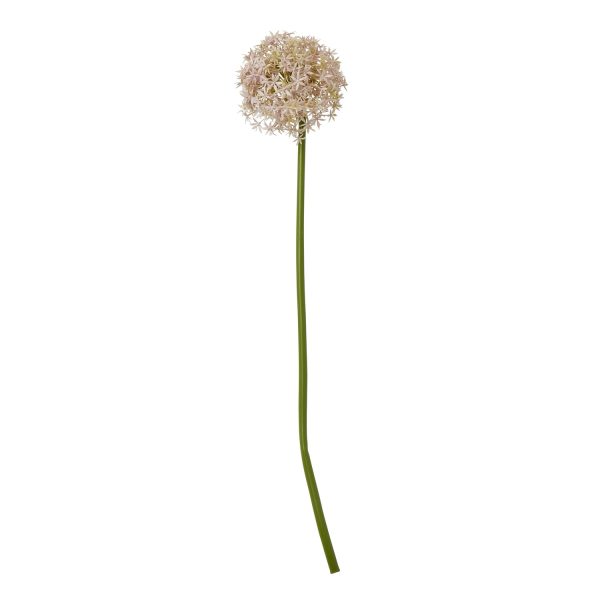 Lilac Medium Allium Stem | Bed Sava