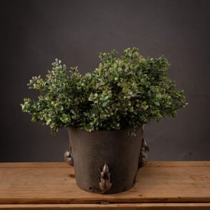 Red Tipped Leaf Spray | Bed Sava
