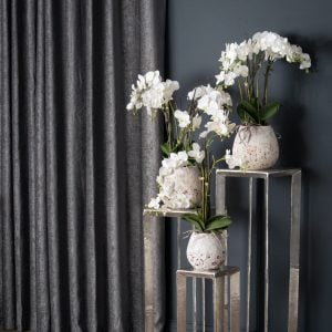 White Orchid In Stone Pot | Bed Sava