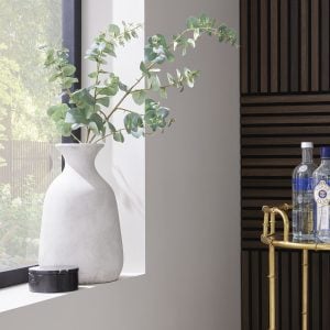Variegated Eucalyptus | Bed Sava