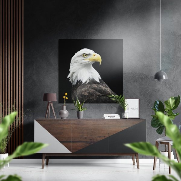 Eagle Brushed Aluminium Dibond Wall Art | Bed Sava