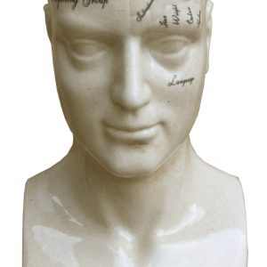 Large Ceramic Phrenology Head 42cm | Bed Sava