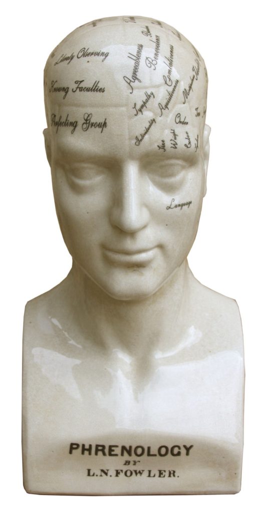 Large Ceramic Phrenology Head 42cm | Bed Sava