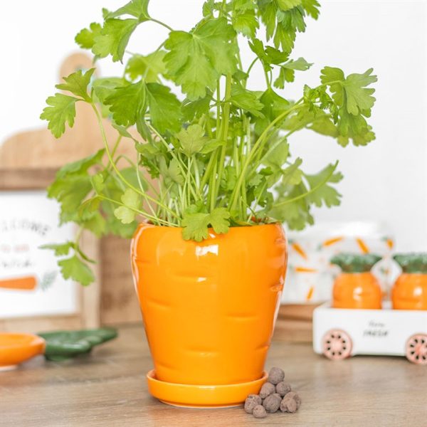 Carrot Shaped Plant Pot with Parsley Seed Balls | Bed Sava