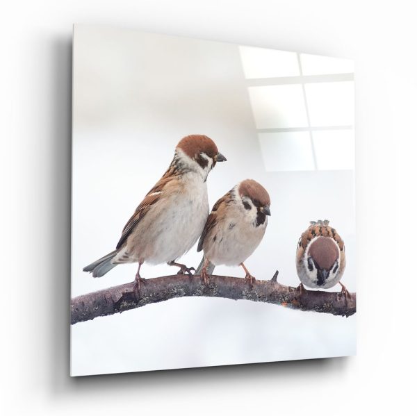 Birds Glass Wall Art | Bed Sava