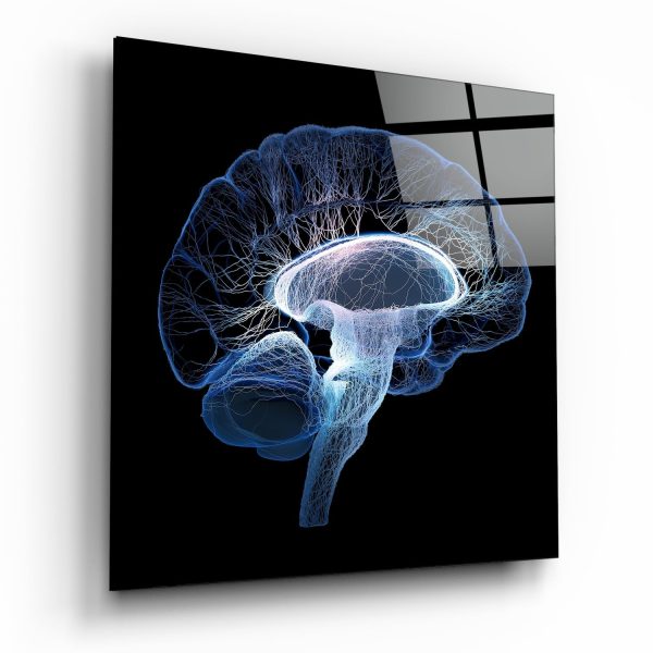 Brain Glass Wall Art | Bed Sava