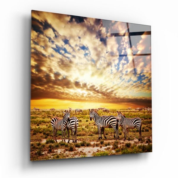 Zebras Glass Wall Art | Bed Sava