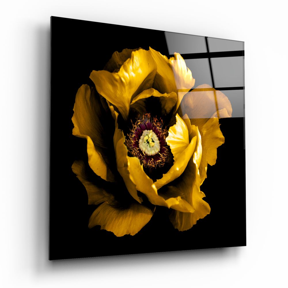 Floral Yellow Glass Wall Art | Bed Sava
