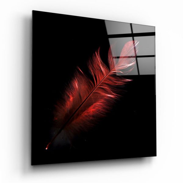 Colored Feather Glass Wall Art | Bed Sava