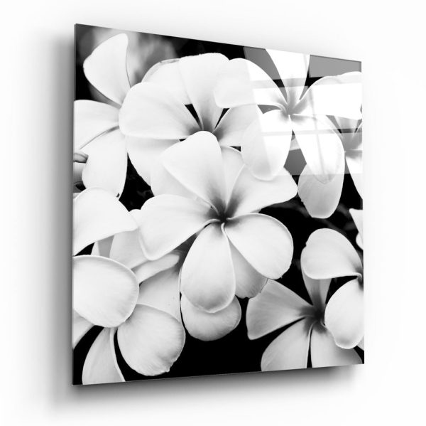 Black and White Flowers Glass Wall Art | Bed Sava