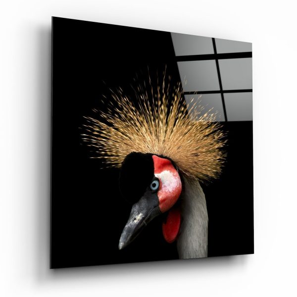 Black Crowned Crane | Bed Sava