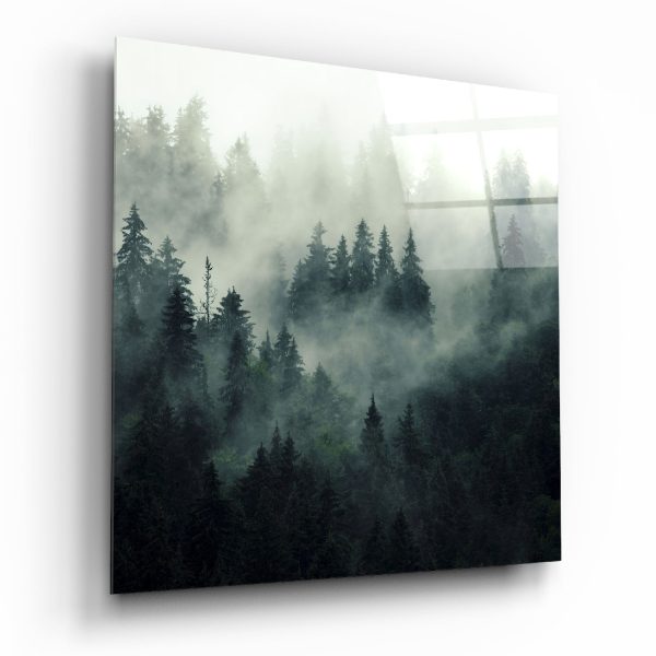 Foggy Forest Glass Wall Art | Bed Sava
