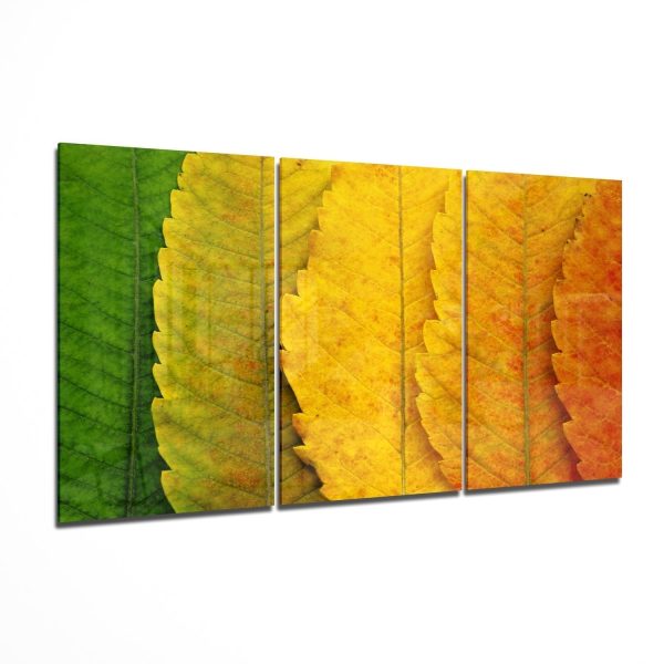 Autumn Leaves Mega Glass Wall Art | Bed Sava