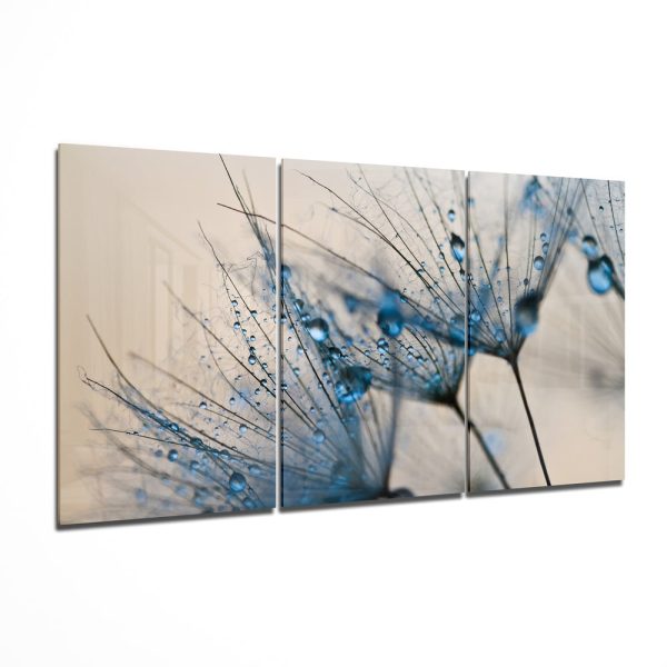 Dandelion Mega Glass Wall Art | Bed Sava