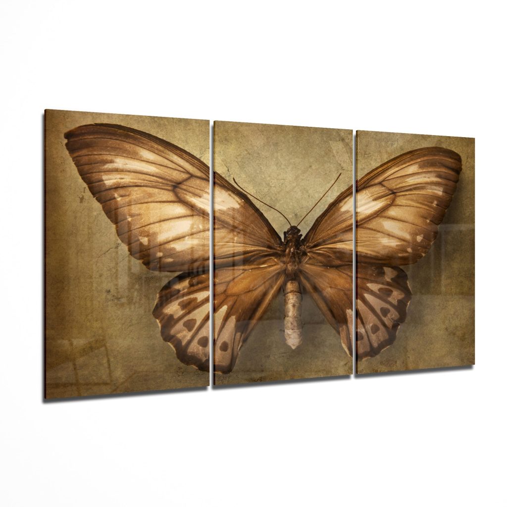 Butterfly Glass Art Mega Glass Wall Art