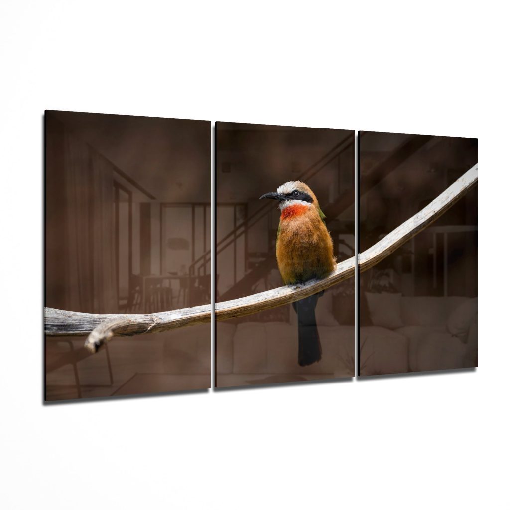 Bee-eater Glass Art Mega Glass Wall Art