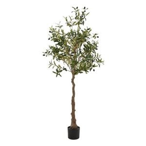 Calabria Olive Tree | Bed Sava