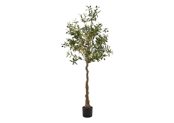 Calabria Olive Tree | Bed Sava