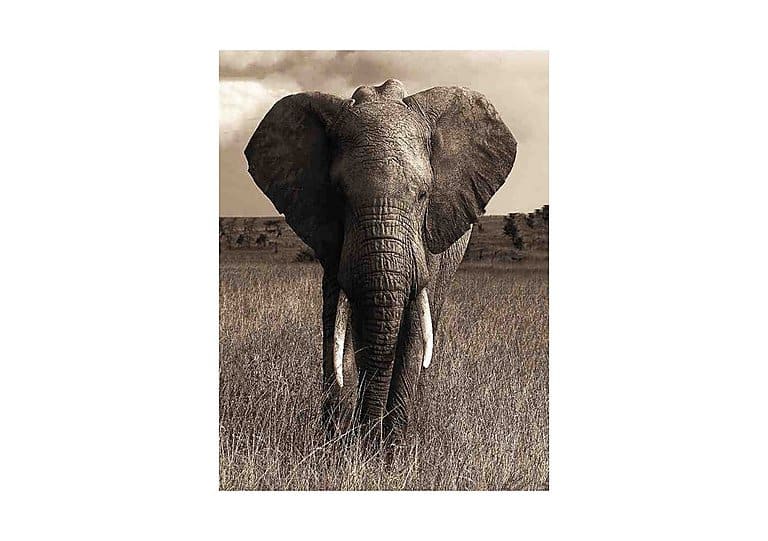 Elephant Glass Art