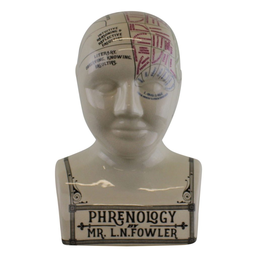 Large Ceramic Crackle Phrenology Head | Bed Sava