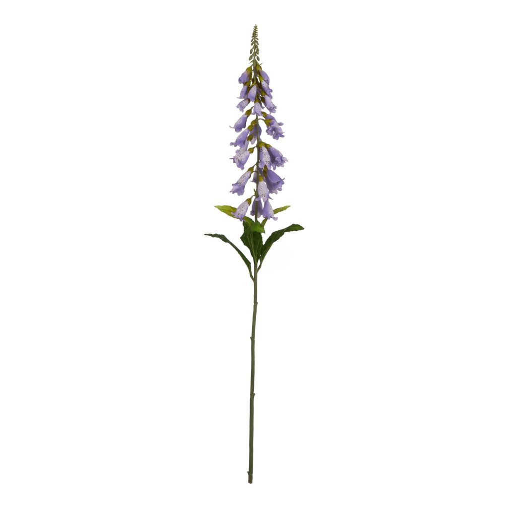 The Natural Garden Collection Foxglove