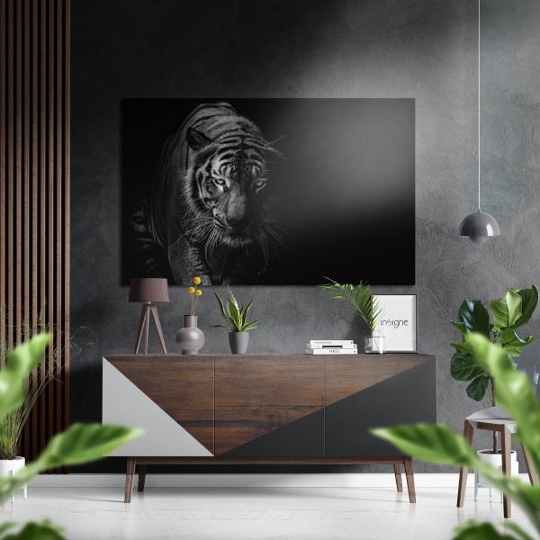 Eye of the Tiger Brushed Aluminium Dibond Wall Art | Bed Sava