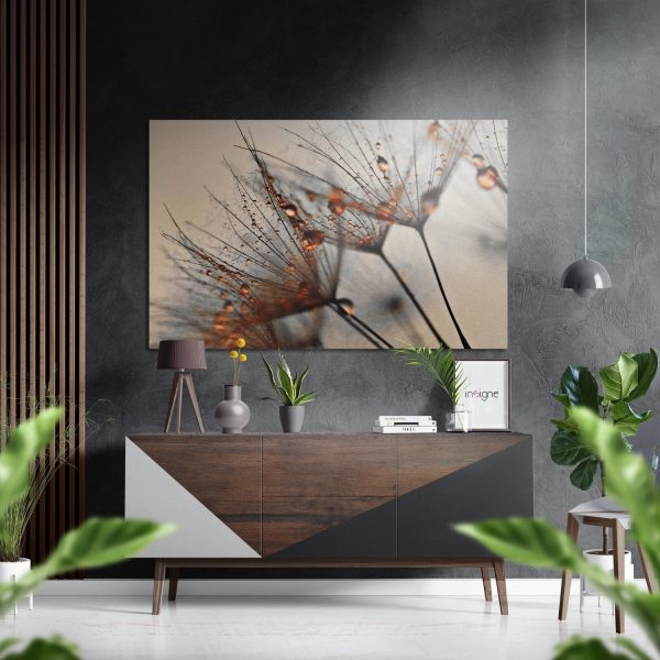 Dandelions Brushed Aluminium Dibond Wall Art | Bed Sava