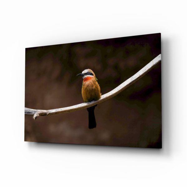 Bee Eater Glass Art | Bed Sava
