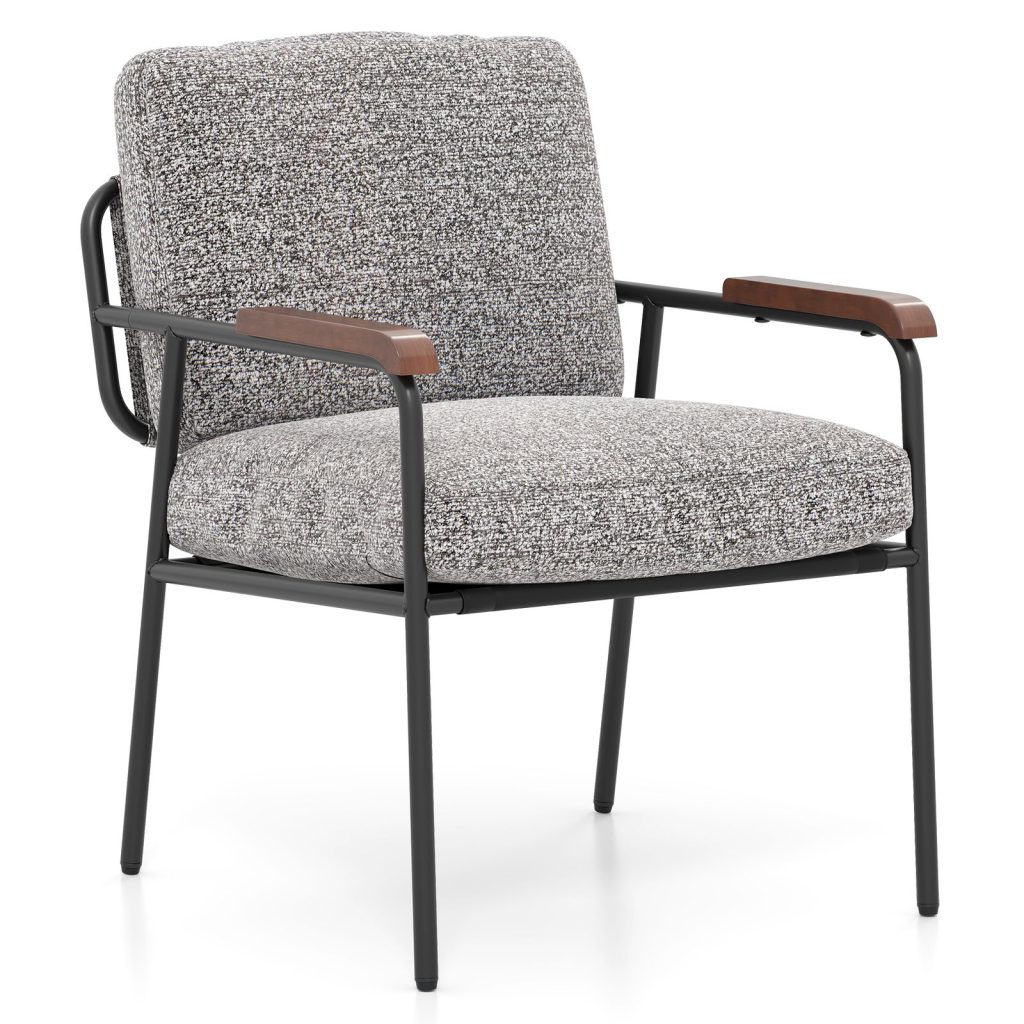 Accent Chair Living Room Chair with Wide Cushioned Seat