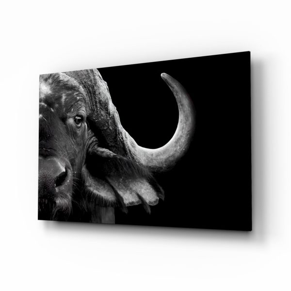 Bison Glass Wall Art | Bed Sava