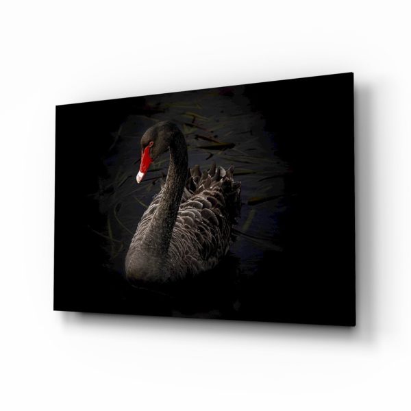 Black Swan Glass Wall Art | Bed Sava