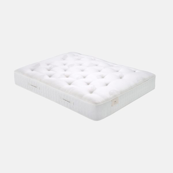Arlen Mattress  Single | Bed Sava