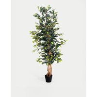 Blooming Artificial 6ft Artificial Ficus Tree in Pot - Green, Green