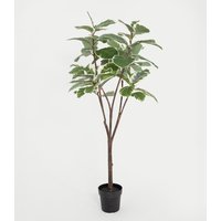 Blooming Artificial 5.5ft Artificial Ficus Elastica Rubber Tree in Pot - Green Mix, Green Mix